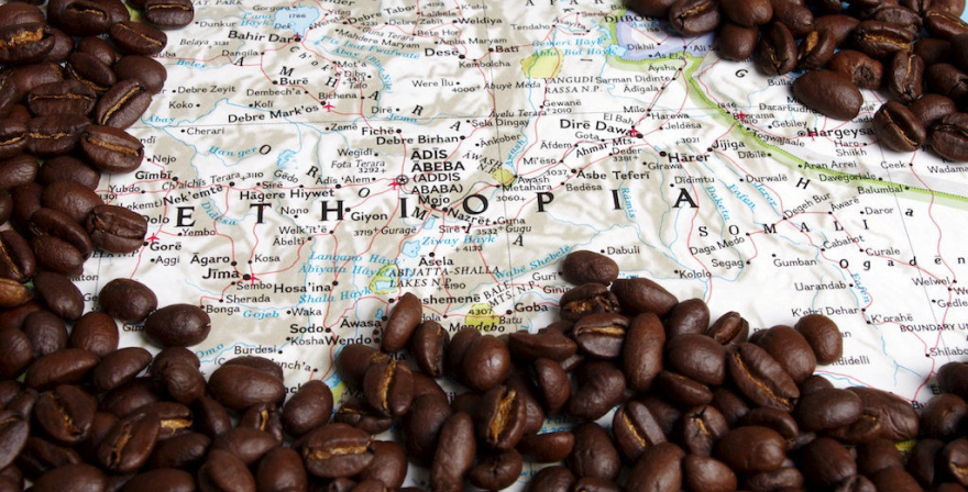 Университет кофе. Курс «Кофейные континенты»