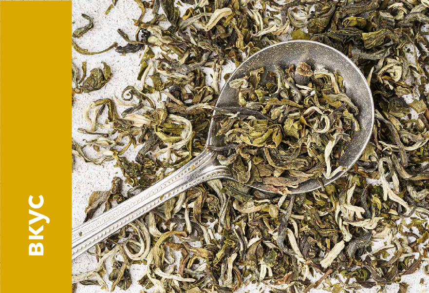 Зеленый чай: о вкусах поспорим