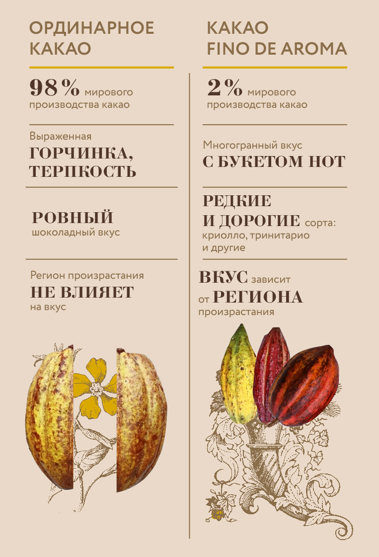 Ординарное какао и бобы fino de aroma: отличия